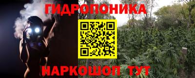jwh Ирбит