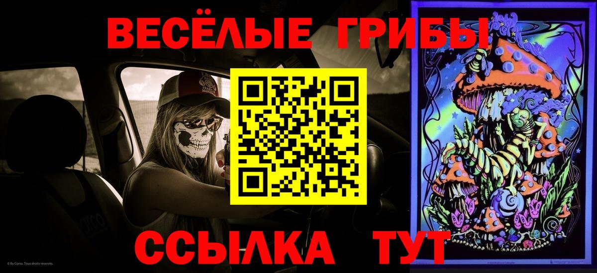 Галлюциногенные грибы прущие грибы Лянтор